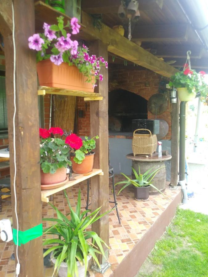 Ribarska Vila Donje Lohovo エクステリア 写真